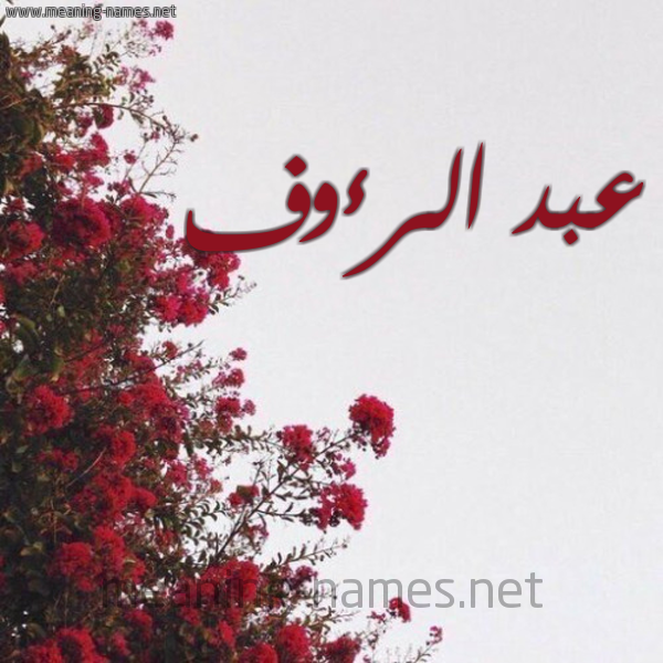 شكل 18 صوره الورد الأحمر للإسم بخط رقعة صورة اسم عبد الرءوف ABD-ALRAOF